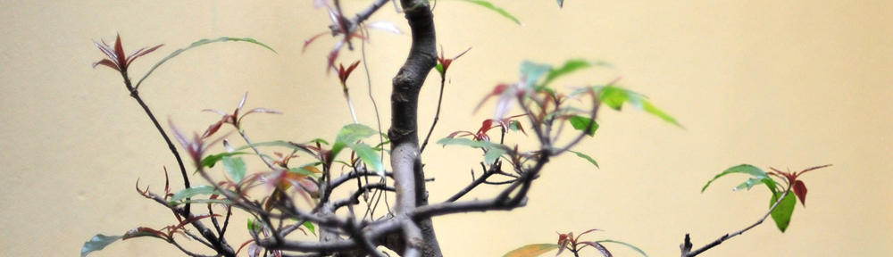 Solve It All: Your Instruction Guide
